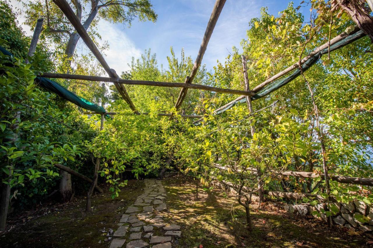 Casa Angelica Villa Sorrento Eksteriør billede
